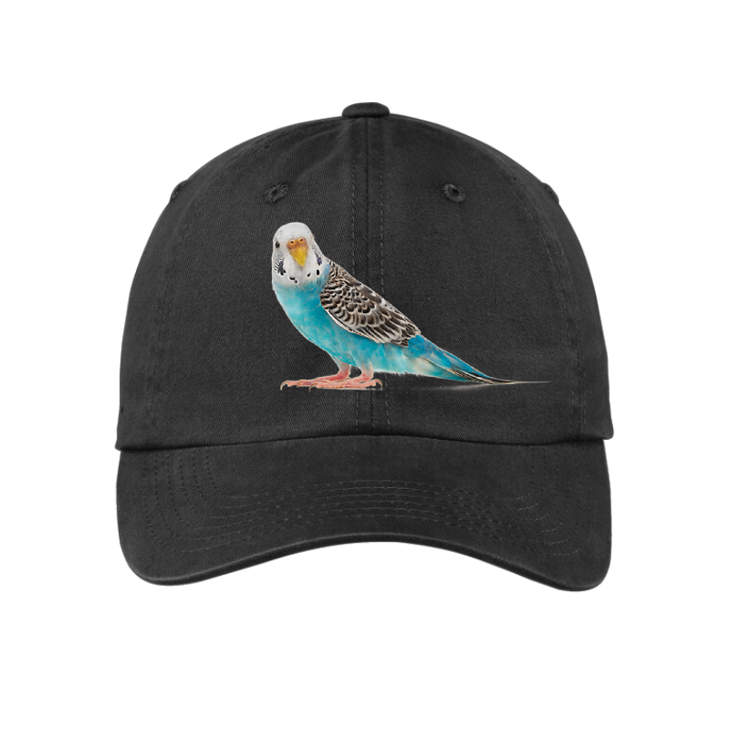 Custom Pet Hat