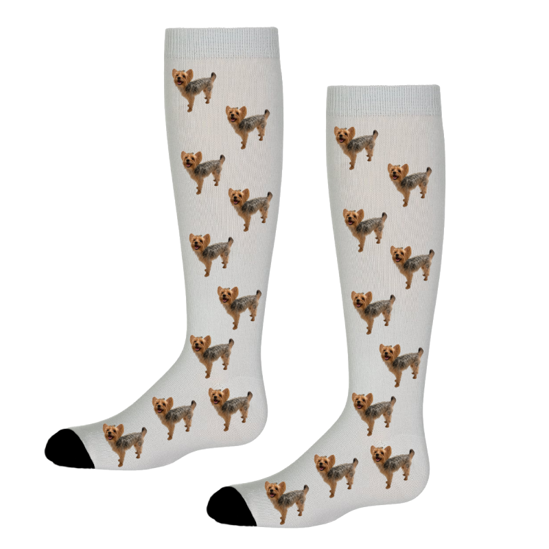 Custom Pet Socks