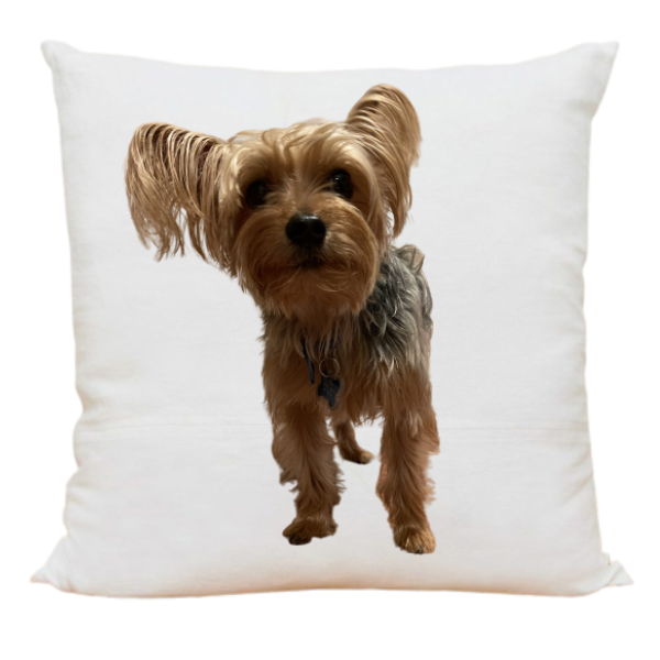 Custom Pet Pillow Cover